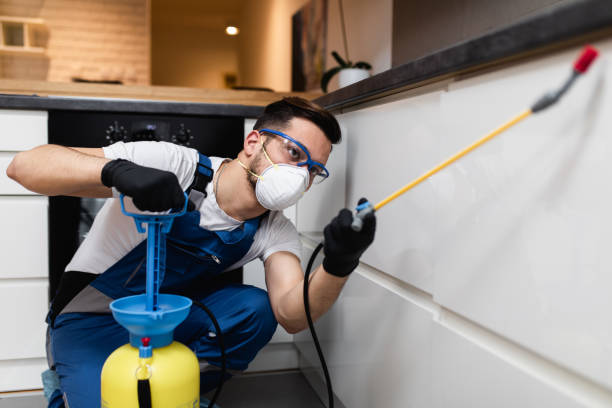 Best Mosquito Control Services  in Blossburg, PA