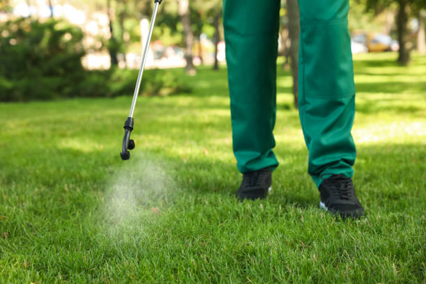 Best Affordable Pest Control Services  in Blossburg, PA