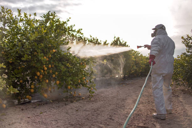 Reliable Blossburg, PA Pest Control Solutions