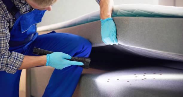 Best Best Pest Control Companies  in Blossburg, PA