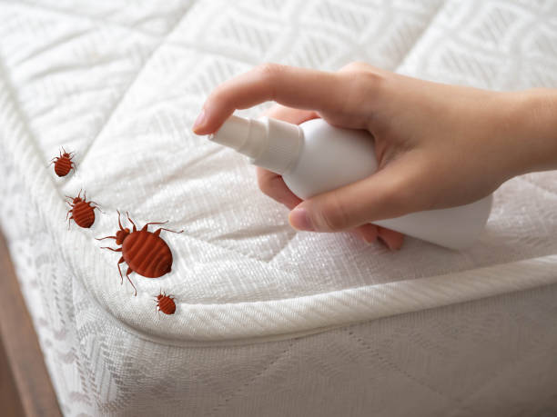 Best Pest Removal Services  in Blossburg, PA